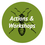 actions & workshops